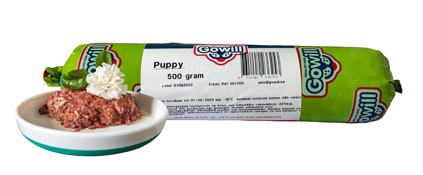 Puppy500